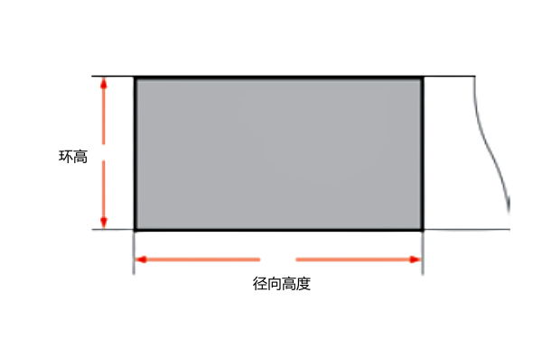 活塞環環高和徑向厚度尺寸示意圖.png