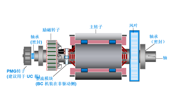 斯坦福發(fā)電機(jī)雙軸承轉(zhuǎn)子總成.png