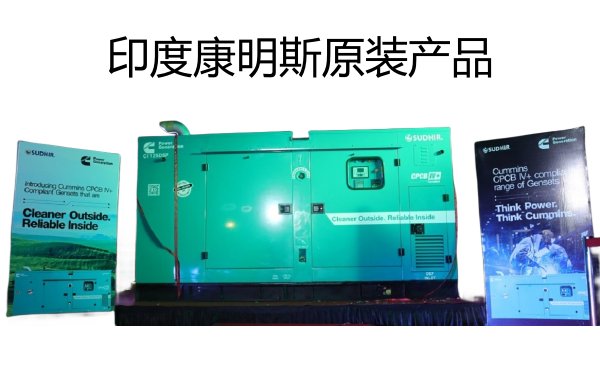 印度康明斯柴油發電機組產品圖.png