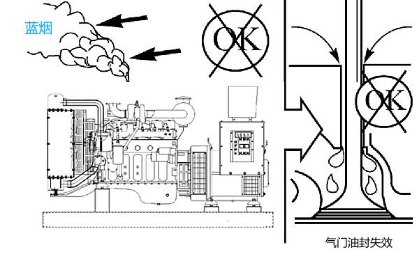 氣門導管油封失效導致柴油機冒藍煙.png